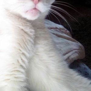 Meet your Posher, Rita